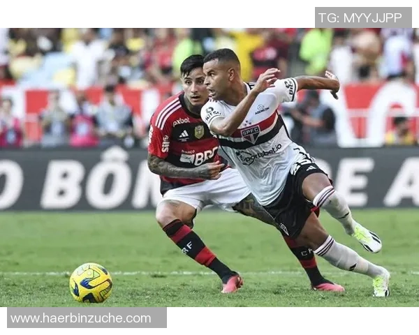 2017年弗拉门戈与圣保罗激战回顾与分析