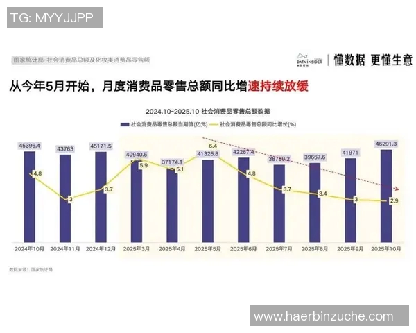 江苏苏宁易购对决各大电商平台的市场策略与竞争分析 江苏苏宁易购对决各大电商平台的市场策略与竞争分析
