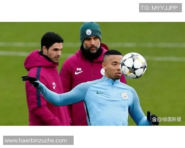 热苏斯在赛场上的崛起与挑战解析他如何成为足球界的新星