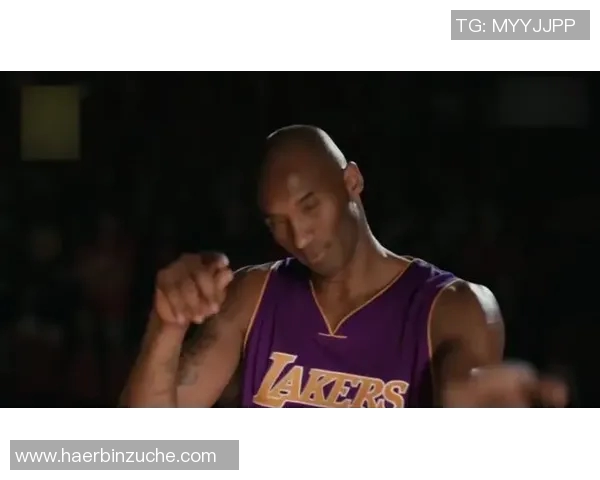 史鸿飞的传奇人生与时代变迁的交织探索