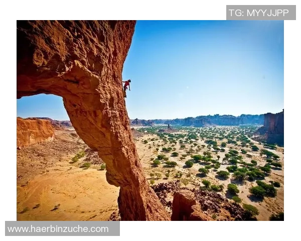 北京极限运动队与重庆极限运动队比赛复盘及经验总结分析MBA