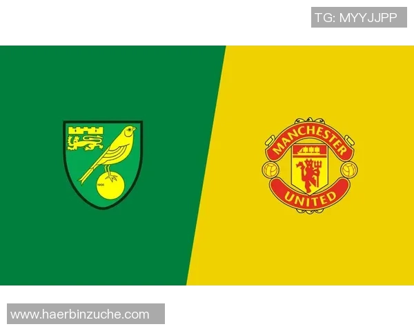 诺维奇与曼联精彩对决录像回放全程回顾与分析