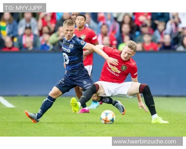 11月17日荷兰对阵法国的比赛预测与分析全面解读 11月17日荷兰对阵法国的比赛预测与分析全面解读