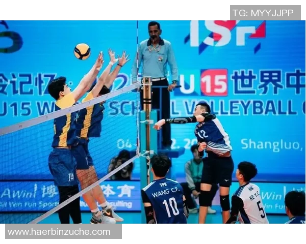 南京排球队的速度之美：探秘排球运动的快速魅力与团队协作