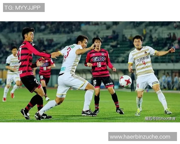 德岛与千叶对决前瞻分析双方战术及球员状态全面解读