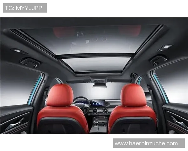 攀岩耐力实力榜单权威发布揭示顶尖选手竞技水平与训练成果