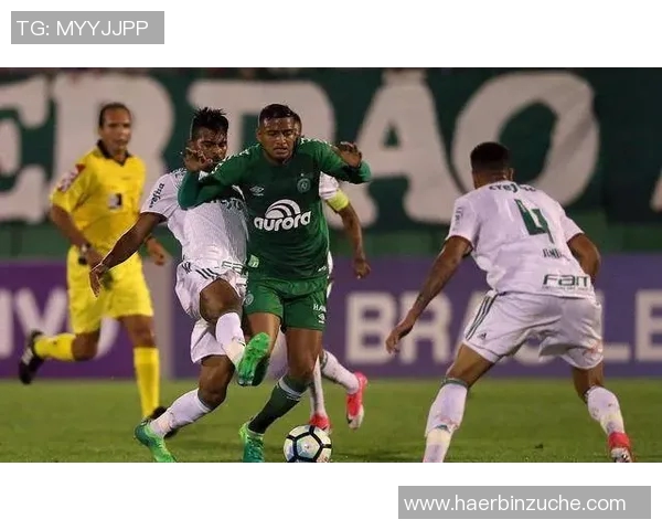 杭州足球队状态火热领跑最新足球状态TOP10榜单分析 杭州足球队状态火热领跑最新足球状态TOP10榜单分析