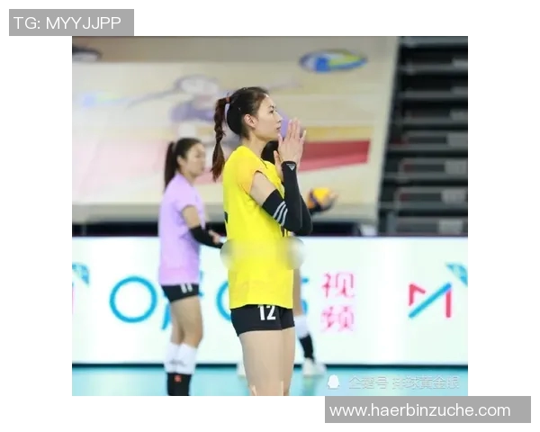 上海排球队战术解析与对比探讨助力球队提升竞争力