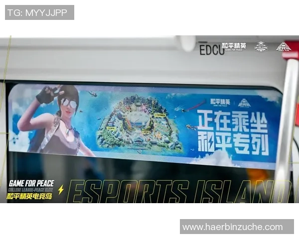 和平精英战术解析：WE战队反击体系的深度剖析与实战应用