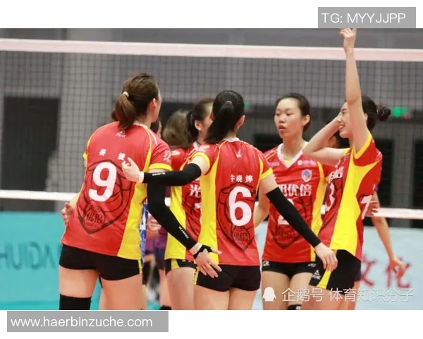 排球心理素质排行榜揭晓西安排球队表现不俗位列第九