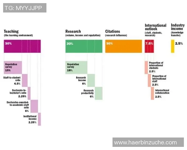 权威发布：2023年排球团队协作实力全面分析与排名揭晓