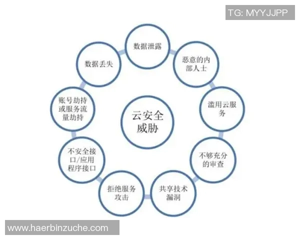 上海排球队运营分析：成功经验与不足之处的深度剖析
